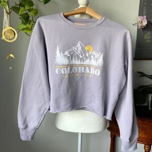 Hollister cropped lavender crewneck